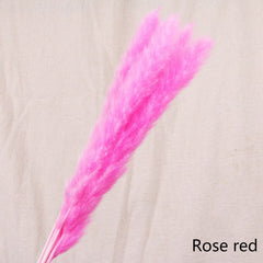 Reed Bloom Dried Flower Home Decor