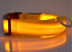 Glow Guard LED Pet Collar & Leash