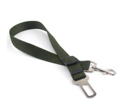 Poly Flex Fixed Strap Dog Leash