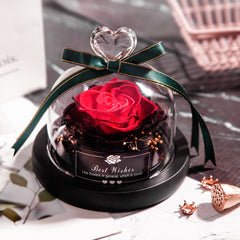Eternal Glow LED Rose Home