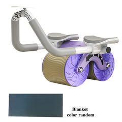 Flex Core 2-in-1 Exercise Belly Wheel
