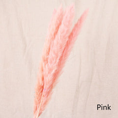 Reed Bloom Dried Flower Home Decor