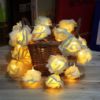 Glow Bloom LED Rose Lighting Chain