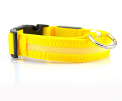 Glow Guard LED Pet Collar & Leash