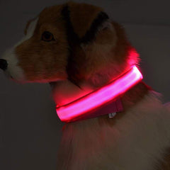 Glow Guard LED Pet Collar & Leash