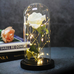 Ever Glow Enchanted Rose with LED Light