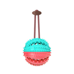 Suction Bite Interactive Dog Chew & Clean Toy