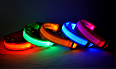 Glow Guard LED Pet Collar & Leash
