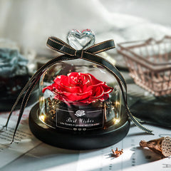 Eternal Glow LED Rose Home