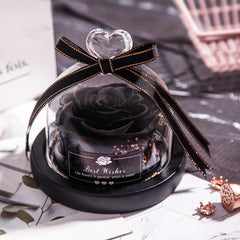 Eternal Glow LED Rose Home