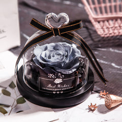 Eternal Glow LED Rose Home