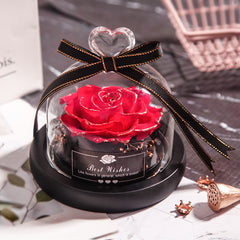 Eternal Glow LED Rose Home