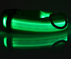 Glow Guard LED Pet Collar & Leash