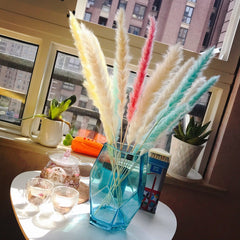 Reed Bloom Dried Flower Home Decor