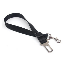 Poly Flex Fixed Strap Dog Leash