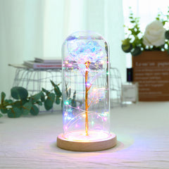 Ever Glow Enchanted Rose with LED Light