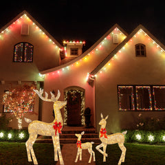Christmas Deer Lighting Happy New Year