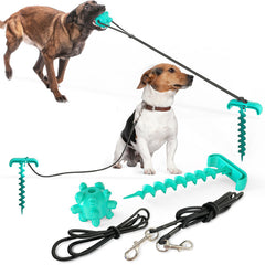 Tie Dog Leash & Toy
