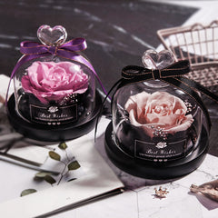 Eternal Glow LED Rose Home