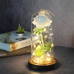 Ever Glow Enchanted Rose with LED Light