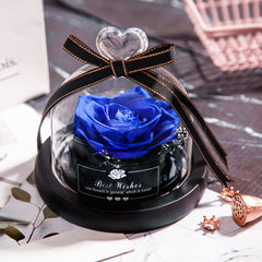 Eternal Glow LED Rose Home