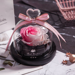 Eternal Glow LED Rose Home