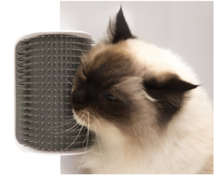 Cat Wall Rubbing & Grooming Device for Easy Care