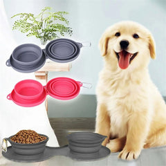Flexi Feast Rubber Foldable Double Pet Feeding Bowls