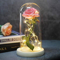 Ever Glow Enchanted Rose with LED Light