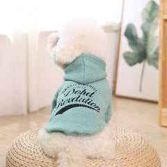 Stylish & Comfortable Clothing for Pets