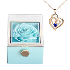 Rose Charm Jewelry Box & Necklace Set