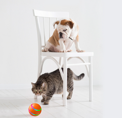 Whisker Play Intelligent Self-Rotating Cat Ball