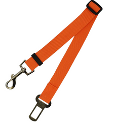 Poly Flex Fixed Strap Dog Leash