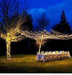 Glow Sync Bluetooth LED Fairy Lights