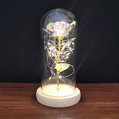 Ever Glow Enchanted Rose with LED Light