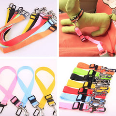Poly Flex Fixed Strap Dog Leash
