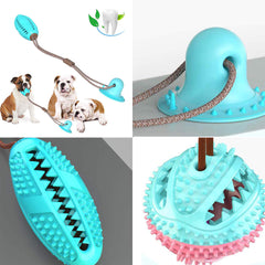 Suction Bite Interactive Dog Chew & Clean Toy