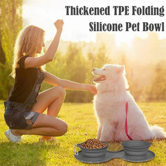 Flexi Feast Rubber Foldable Double Pet Feeding Bowls