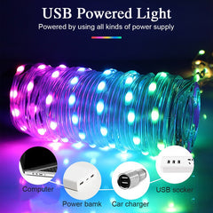 Christmas Tree DIY Remote Control Lighting Chain