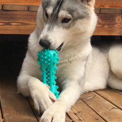 Chew Guard Rubber Molar Stick for Aggressive Dogs