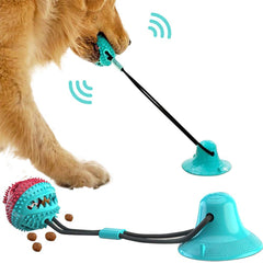 Suction Bite Interactive Dog Chew & Clean Toy
