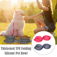 Flexi Feast Rubber Foldable Double Pet Feeding Bowls