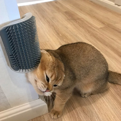 Cat Wall Rubbing & Grooming Device for Easy Care