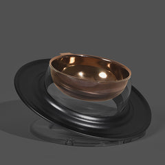 Anti-Tipping Food and Water Bowl for Cats and Dogs