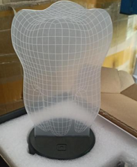 Eternal Embrace 3D LED Night Light